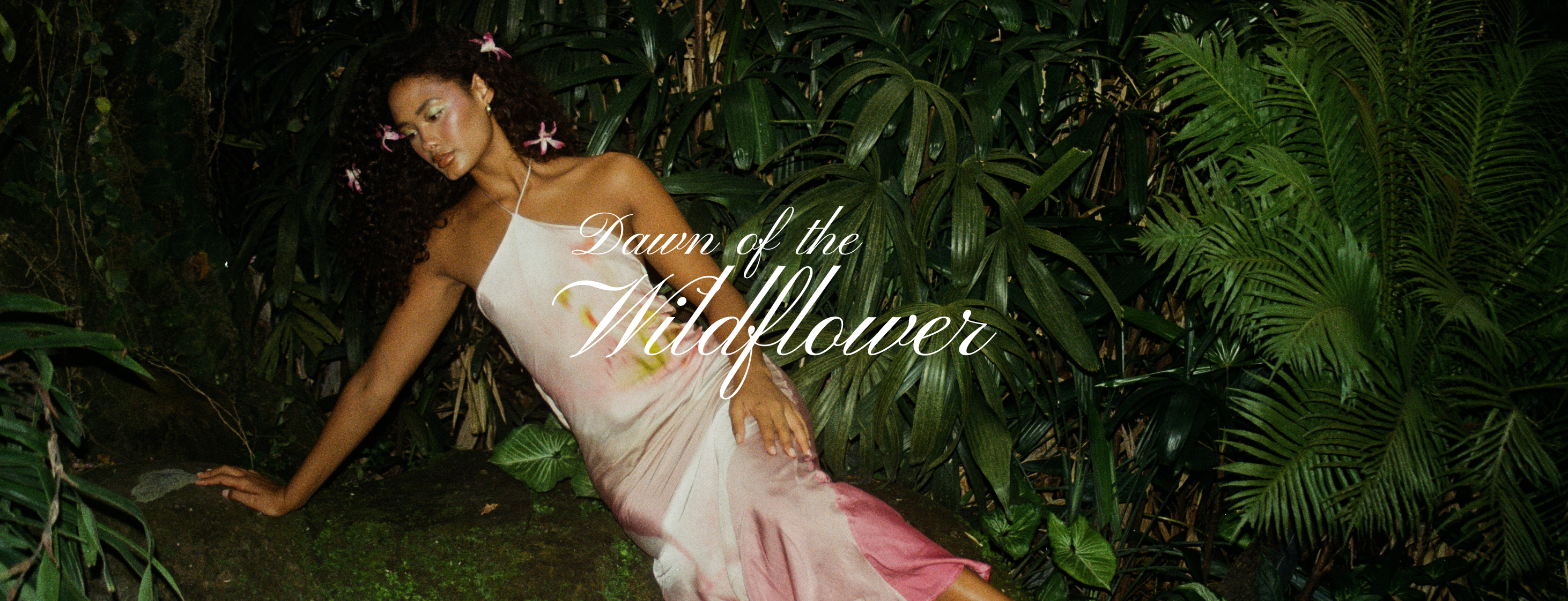 Dawn of the Wildflower